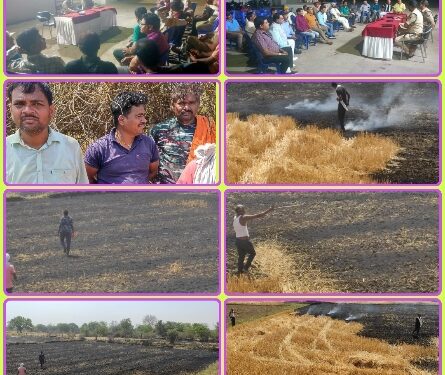 बिलहरी हाई स्कूल से लगे खेत मे भड़की आग, फायर ब्रिगेड पहुंच कर आग पर पाया काबू
