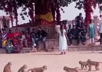 एक बार जरूर देखें आपने जीवन में ऐसी कबड्डी नही देखी होगी कबड्डी का आनंद लेते दर्शकगण