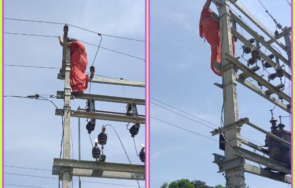 मोहब्बत का ऐसा सिला…’, 3 बच्चों की मां को चढ़ा ‘इश्क का बुखार’, प्रेमी को साथ रखने की बात पर पति से नाराज, खंभे पर चढ़ करने लगी तांडव देखे VIDEO