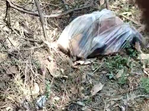 *चार वर्षिय मासूम (अंशू)की पन्नी में लपटी मिली लाश ,,,गाँव मे पसरा सन्नाटा ,,विजयराघवगढ़ अंतर्गत हरैया का मामला*