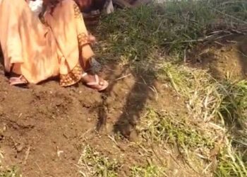 *ग्राम पंचायत खमरा के रोजगार सहायक शराब पीकर कर रहा है अभद्र व्यवहार*