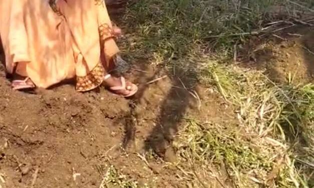 *ग्राम पंचायत खमरा के रोजगार सहायक शराब पीकर कर रहा है अभद्र व्यवहार*