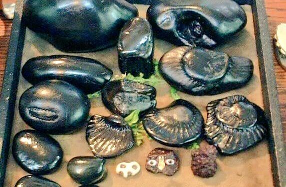 शालिग्राम पत्थर क्या है?? क्या है इसका महत्व ??