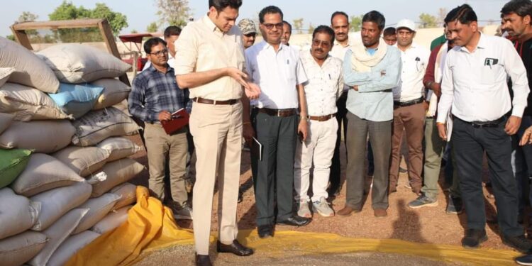 जिले में अब तक 10576 किसानों स 64 हजार 872 मेट्रिक टन गेहूं उपार्जित कृषकों की 42 करोड़ रुपए का भुगतान उनके खातों पर