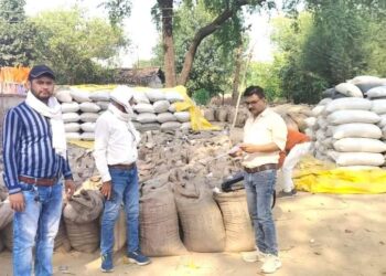 3 लाख 99 हजार क्विंटल से अधिक गेहूं का उपार्जन 20 मई तक होगी गेहूं खरीदी