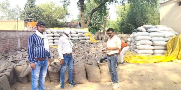 3 लाख 99 हजार क्विंटल से अधिक गेहूं का उपार्जन 20 मई तक होगी गेहूं खरीदी