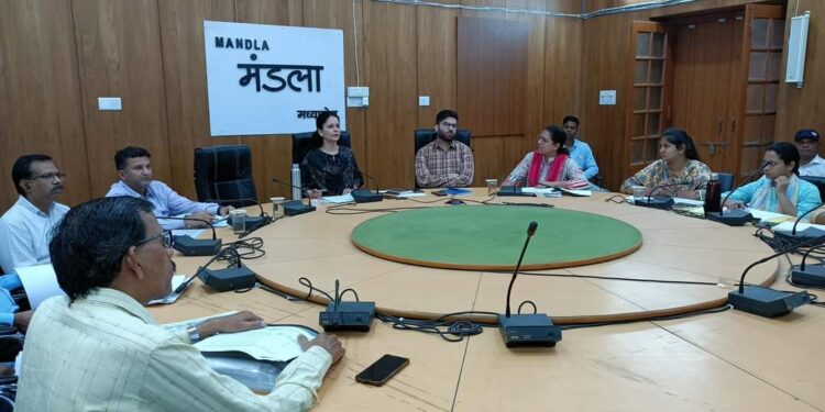 किसानों की आय बढ़ाने योजनाओं में कन्वर्जेंस आवश्यक – डॉ.सलोनी सिडाना