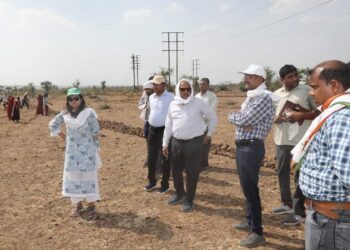 कलेक्टर सुश्री ऋजु बाफना ने आज शाजापुर जनपद पंचायत के ग्राम टाण्डा बोर्डी, पिपलोदा, पचोला बनहल एवं बरवाल का भ्रमण कर चल रहे जलसंरक्षण के कार्यों का निरीक्षण किया
