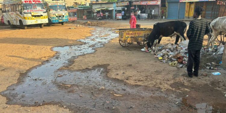 बस स्टैंड की सड़कों पर बह रहा नालियों का गन्दा पानी, कचरे का लगा अम्बार लोंगों का पैदल चलना हुआ मुश्किल,दुर्गंध से बढ़ी मुश्किलें…