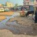 बस स्टैंड की सड़कों पर बह रहा नालियों का गन्दा पानी, कचरे का लगा अम्बार  लोंगों का पैदल चलना हुआ मुश्किल,दुर्गंध से बढ़ी मुश्किलें…