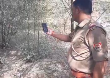 उमर्दा के पास झाड़ियां में पड़ा अज्ञात युवक का शव मिलने से फैली सनसनी मौके पर पहुंची पुलिस जांच में जुटी नहीं हो सकी शव की स्नाख्त