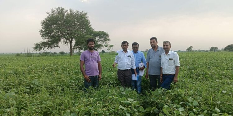 मूंग फसल के लिए नहरों में 5 जून तक पानी प्रवाहित किया जाएगा,आवश्यकता पड़ने पर आगे भी पानी प्रवाहित किया जाएगा..