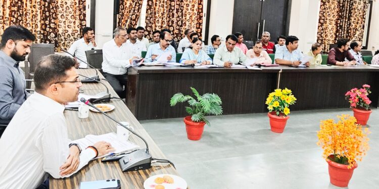 *जिला स्वास्थ्य समिति की बैठक कलेक्टर की अध्यक्षता में हुई सम्पन्न*