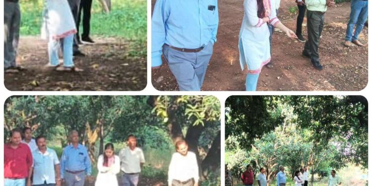 कलेक्टर सोनिया मीना ने किया पचमढ़ी स्थित पोलो उद्यान का निरीक्षण