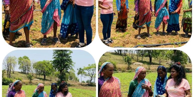 नौ तपा पर विशेष — रोहणी को समझे घड़ी का कांटा, पूरी पृथ्वी में गर्मी से नहीं है इसका नाता नक्षत्र नहीं सूरज की सीधी किरणें लाती है गर्मी नौतपा का विज्ञान बताया – सारिका ने
