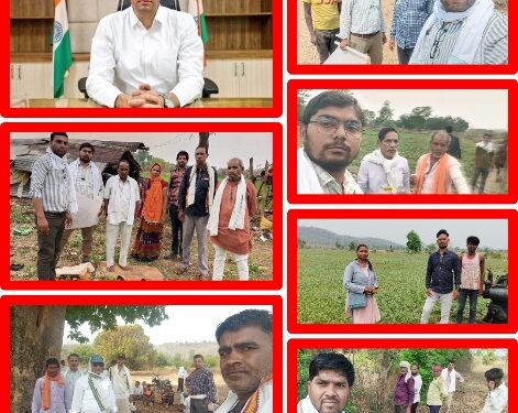 विशेष अभियान के तहत जिले में अब तक 1600 सीमांकन प्रकरणों का हुआ निराकरण।सीमांकन प्रकरणों के निपटारे में ढ़ीमरखेड़ा तहसील पहले और कटनी तहसील अंतिम स्थान पर