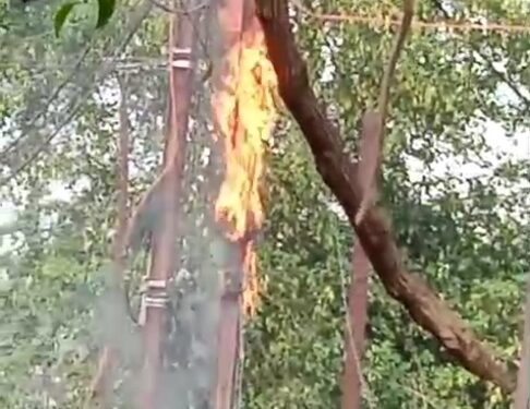 नौतपा का कहर बिजली के खम्बे अचानक लगी आग, राहगिरो ने दी दमकल वाहन को सूचना