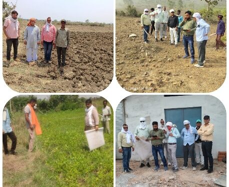 21 सौ से अधिक सीमांकन प्रकरण का हुआ निराकरण  कलेक्टर श्री प्रसाद के निर्देश पर अमल से सीमांकन मामलों के निराकरण में आई तेजी  सीमांकन प्रकरणों के निपटारे में ढ़ीमरखेड़ा तहसील अग्रणी