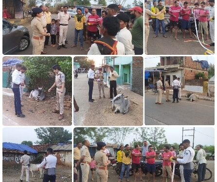 यातायात हाईवे सुरक्षा चौकी जुहला बाईपास प्रभारी सूबेदार मोनिका खड़से व चौकी की टीम द्वारा सड़क पर बैठे आवारा पशुओ के सींग पर रेडियम टेप लगाया गया