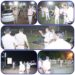 *आधी रात को पुलिस अधीक्षक स्वयं निकले कांबिंग गस्त भ्रमण पर, शहरी थाना चौकी प्रभारी एवं कांबिंग गस्त में रवाना होने वाले बल को स्वयं ब्रीफ कर कार्यवाही हेतु दिए निर्देश*