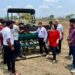 मिटटी की सरंचना सुधारने और कम लागत में अधिक उत्पादन लेने किसानों को डीएसआर विधि से धान की बोनी करने की सलाह.
