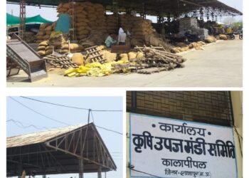 किसानो के टीन शेड पर व्यापारियों ने जमा रखा का कब्जा  किसानों के लिए चार-चार टीन शेड होने के बावजूद भी धूप में खड़े रखते ट्रैक्टर-ट्रॉली…..!