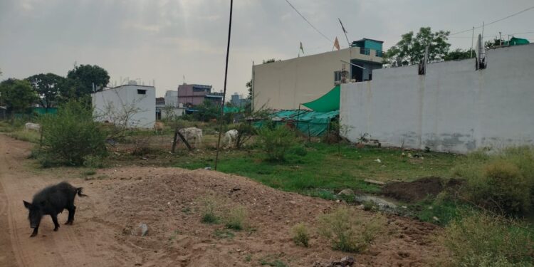 प्रशासन की बिना अनुमति के कट रहे हैं प्लाट,अवैध कॉलोनियो की भरमार और सुविधाओं का अभाव..!