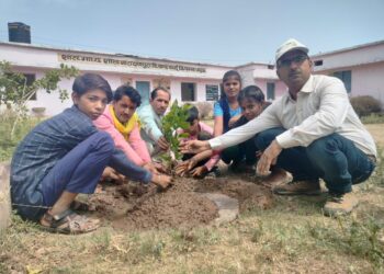 विश्व पर्यावरण दिवस पर किया पौधारोपण