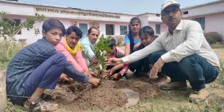विश्व पर्यावरण दिवस पर किया पौधारोपण