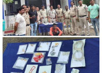 मनोहर सिंह जगेत/रवि भंडारी की पुलिस टीम ने किया अंतर्राज्यीय चोर गिरोह का पर्दाफाश….!  पुलिस की बड़ी कार्यवाही करीब 10 लाख के सोने चांदी के जेवर बरामद सहित 1 कंजर गिरफ्तार…!