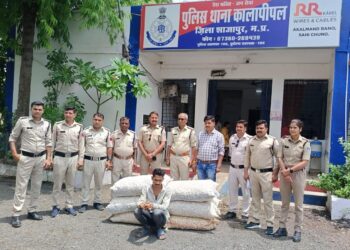 कालापीपल पुलिस ने लहसुन चोरी का किया खुलासा…आरोपी गिरफ्तार एवं चोरी गई चोरी गई 11 कट्टी लहसुन कीमती 55000 की बरामद की ….।