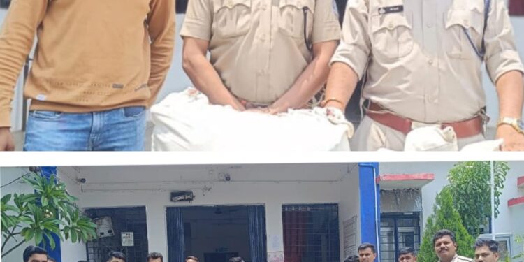 बड़ी कार्यवाही….शाबाश कालापीपल पुलिस.. कालापीपल पुलिस ने डोंडा चुरा तस्कर को माल संहित किया गिरफ्तार…!