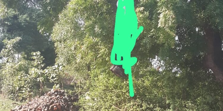 छिरपुरा में पेड़ पर लटकी मिली लाश
