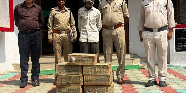 पुलिस थाना विजयराघवगढ़ भारी मात्रा में अवैध जब्त