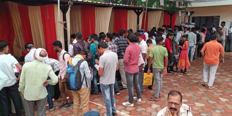 जनपद पंचायत कार्यालय नर्मदापुरम में रोजगार मेला संपन्न,850 युवाओं में से 508 को प्राथमिक चयन किया गया