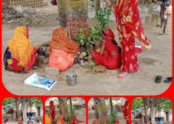 आज जेठ की बरगदिया अमावस्या पर सुहागिनों ने बट वृक्ष की पूजा कर पति की दीर्घायु की कामना