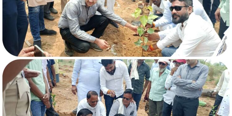 वनमण्डलाधिकारी गौरव शर्मा के मार्गदर्शन में वनपरिक्षेत्र रीठी (वनमण्डल कटनी) के बढ़खेड़ा के कक्ष क्रमांक RF176 में वृक्षारोपण महोत्सव का आयोजन किया गया