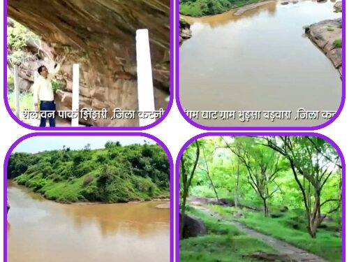 आदिमानव के रहन सहन सहित पिकनिक स्पॉट की जानकारी से रू-ब-रू हुए प्रतिभागी  आदर्श कॉलोनी कटनी निवासी रिचार्ड डेविड रहे गुरुवार की प्रतियोगिता के विजेता  दो सप्ताह पूर्ण करने जा रही क्विज प्रतियोगिता