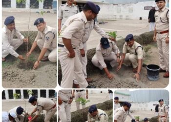 केन्द्रीय जेल सागर में 11 फलदार वृक्ष अधिरोपित किये