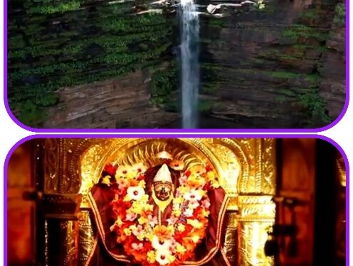 *कटनी- को -जानो आनलाईन क्विज प्रतियोगिता में आज वसुधा फाल रीठी एवं शारदा मंदिर विजयराघवगढ़ से संबंधित होंगे सवाल* *VIDEO में सवाल के जबाब मिलेगे*