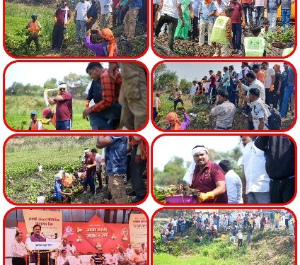 *जल गंगा संवर्धन अभियान* *माढ़ोताल तालाब में चलाया गया वृहद स्वच्छता एवं संवर्धन अभियान* *माढ़ोताल तालाब में स्वच्छता श्रमदान कर तालाब की साफ सफाई एवं किया गया गहरीकरण कार्य* *पर्यावरण को बचाना हम सभी की है नैतिक जिम्मेदारी – विधायक डॉ. अभिलाष पांडे*