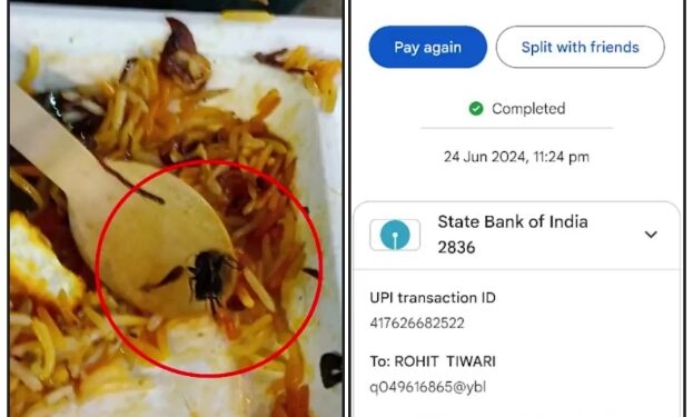 भोपाल-रानी कमलापति स्टेशन के फूड कोर्ट की बिरयानी में निकला कीड़ा, सोमवार रात का बताया जा रहा है मामला, देखें सोशल मीडिया पर वायरल हो रहा ये VIDEO