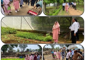 कलेक्टर डॉ. सलोनी सिडाना ने पैडी ट्रांसप्लांट विधि के धान रोपा का अवलोकन किया  द्वारका प्रसाद पटेल जगनाथर में बना समृद्ध किसान