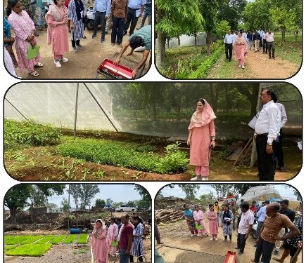 कलेक्टर डॉ. सलोनी सिडाना ने पैडी ट्रांसप्लांट विधि के धान रोपा का अवलोकन किया द्वारका प्रसाद पटेल जगनाथर में बना समृद्ध किसान