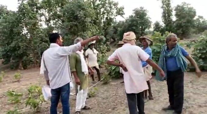 पति से जमीन की नपाई करवाने वाली महिला पटवारी सस्पेंड, SDM ने की कार्रवाई