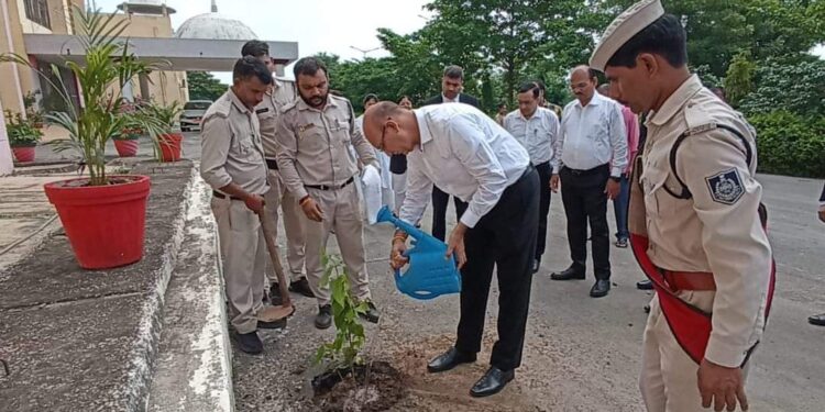 वृहद वृक्षारोपण अभियान के अंतर्गत जिला न्यायालय परिसर में संपन्न हुआ वृक्षारोपण कार्यक्रम