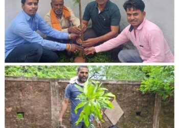 102 वां अंतर्राष्ट्रीय सहकारीता दिवस एवं हरा-भरा कालापीपल “एक पेड़ मां के नाम”  शाखा प्रबंधक संतोष शर्मा/सतीश गुप्ता ने किया वृक्षारोपण…!