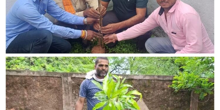 102 वां अंतर्राष्ट्रीय सहकारीता दिवस एवं हरा-भरा कालापीपल “एक पेड़ मां के नाम” शाखा प्रबंधक संतोष शर्मा/सतीश गुप्ता ने किया वृक्षारोपण…!