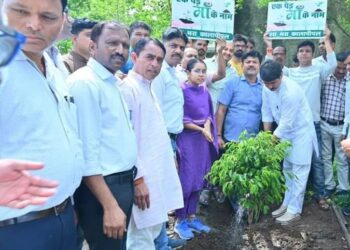 तहसील कार्यालय पर एसडीएम,तहसीलदार व विधायक घनश्याम चंद्रवंशी में मिलकर किया वृक्षारोपण…।