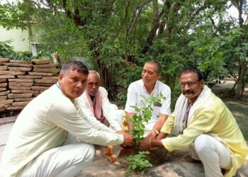 *अधिक से अधिक पौधे लगाने से ही स्वच्छ होगा वातावरण: वृक्ष बंधु डॉ.परशुराम सिंह*